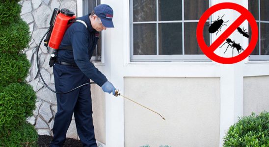 Savaştepe Karınca İlaçlama böcek ilaçlama ve haşere kontrolü — ilaclama-tr.com